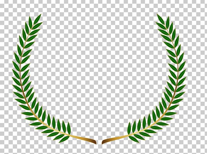 Laurel Wreath Bay Laurel PNG, Clipart, Award, Bay Laurel, Body Jewelry, Circle, Computer Icons Free PNG Download