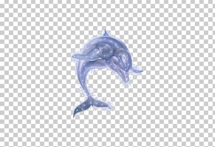 Oceanic Dolphin PNG, Clipart, Animal, Animals, Animation, Barbed, Barbed Wire Free PNG Download