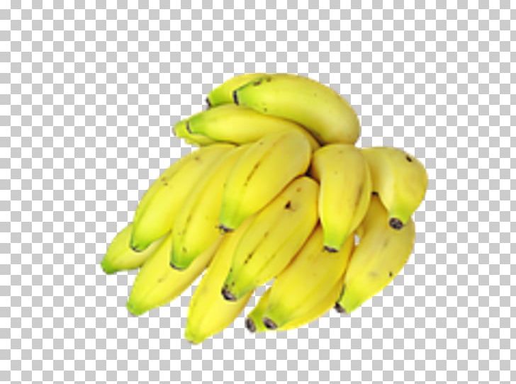 Saba Banana Lady Finger Banana Muffin Milkshake PNG, Clipart, Banana, Banana Family, Bananas, Cooking Banana, Cooking Plantain Free PNG Download