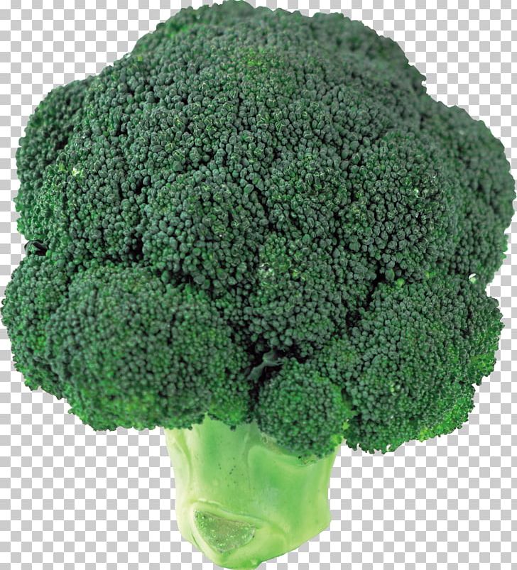 Broccoli PNG, Clipart, Broccoli Free PNG Download