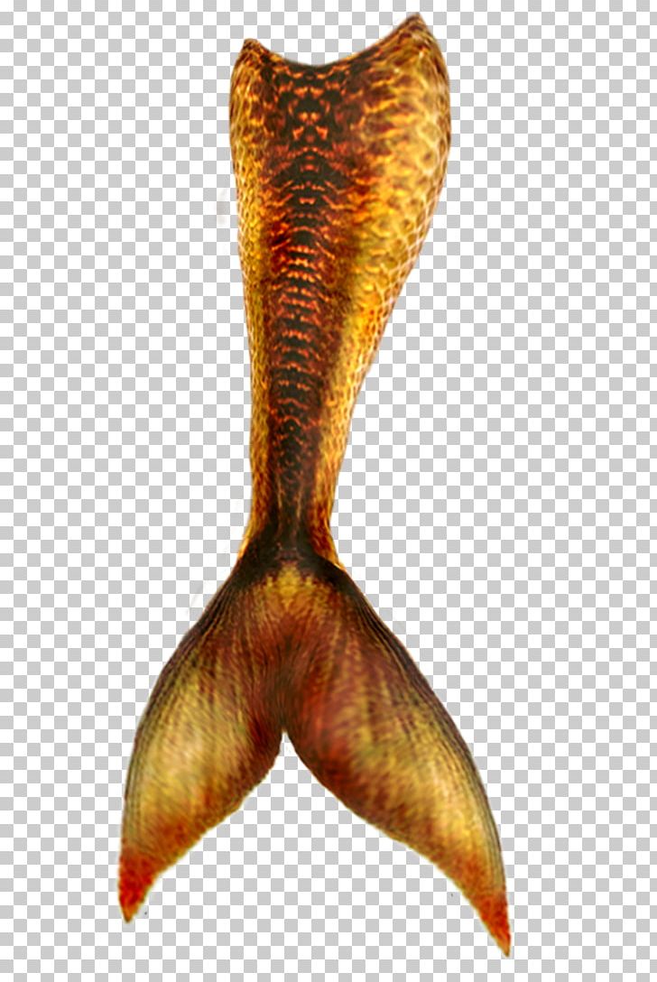 Mermaid Merman PNG, Clipart, Document, Download, Drawing, Fantasy, Legend Free PNG Download