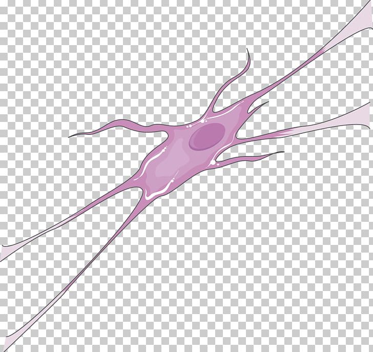 Neuron Medicine Neurology Rheumatology Ophthalmology PNG, Clipart, Branch, Dendrite, Dendritic Cell, Hand, Joint Free PNG Download
