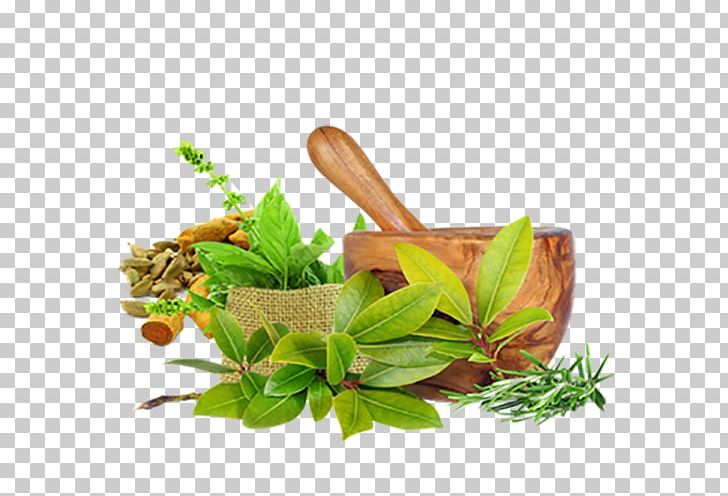 Ayurveda: Die Besten Tipps Aus Dem Jahrtausendealten Naturheilsystem Des Maharishi Ayurveda Medicine Ayurvedic Healing Panchakarma PNG, Clipart, Asthma, Aus, Ayurveda, Ayurveda Aadhar India Ltd, Ayurveda Medicine Free PNG Download