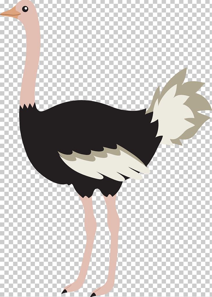 Common Ostrich Bird T-shirt Sticker PNG, Clipart, Beak, Bird, Common Ostrich, Decal, Drawing Free PNG Download