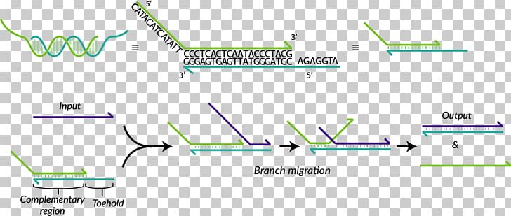 Line Green Point PNG, Clipart, Angle, Area, Diagram, Green, Line Free PNG Download