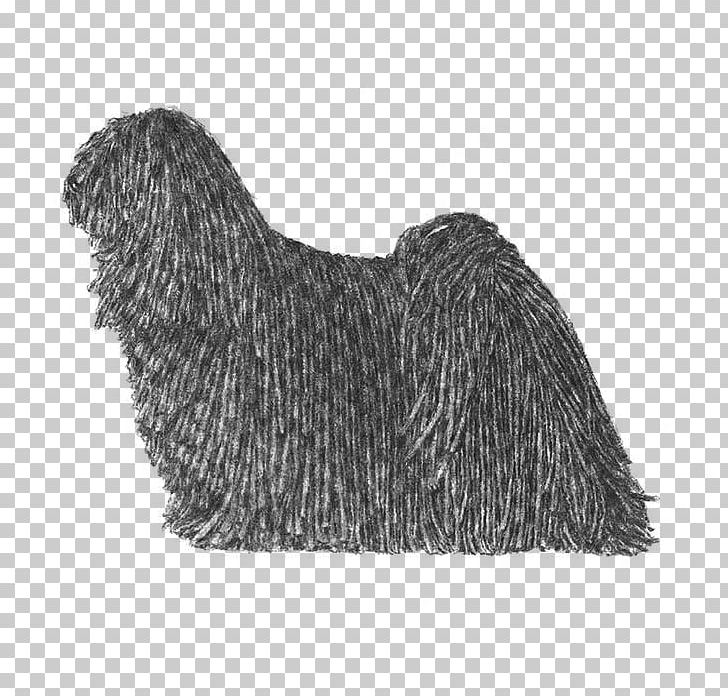 Spanish Water Dog Schapendoes Tibetan Terrier Newfoundland Dog Puli PNG, Clipart, Animals, Black And White, Breed, Breed Standard, Carnivoran Free PNG Download