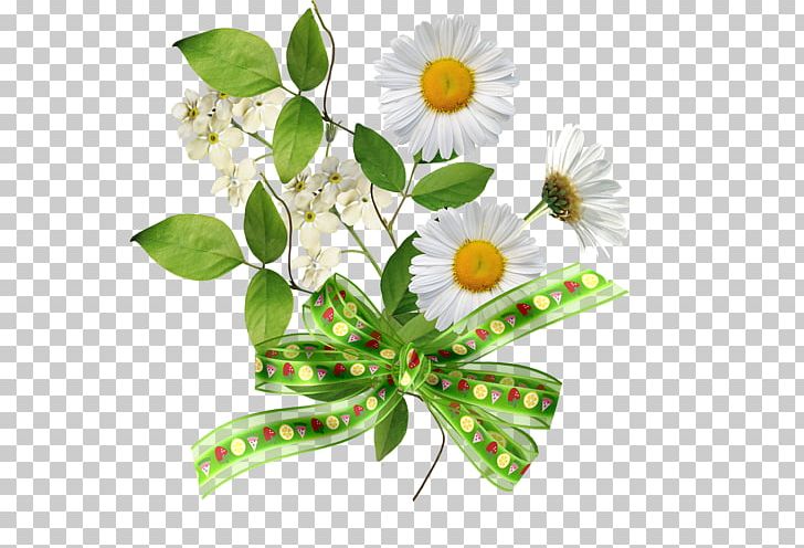 Service Money PNG, Clipart, Acco, Art, Company Stationery, Cut Flowers, Daisy Free PNG Download