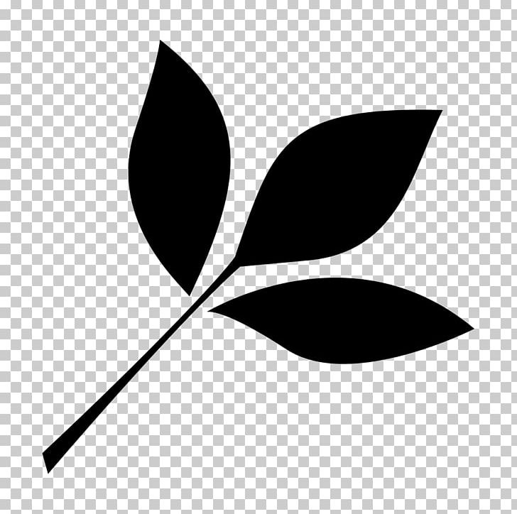 Computer Icons Leaf PNG, Clipart, Black And White, Branch, Computer Icons, Download, Flora Free PNG Download