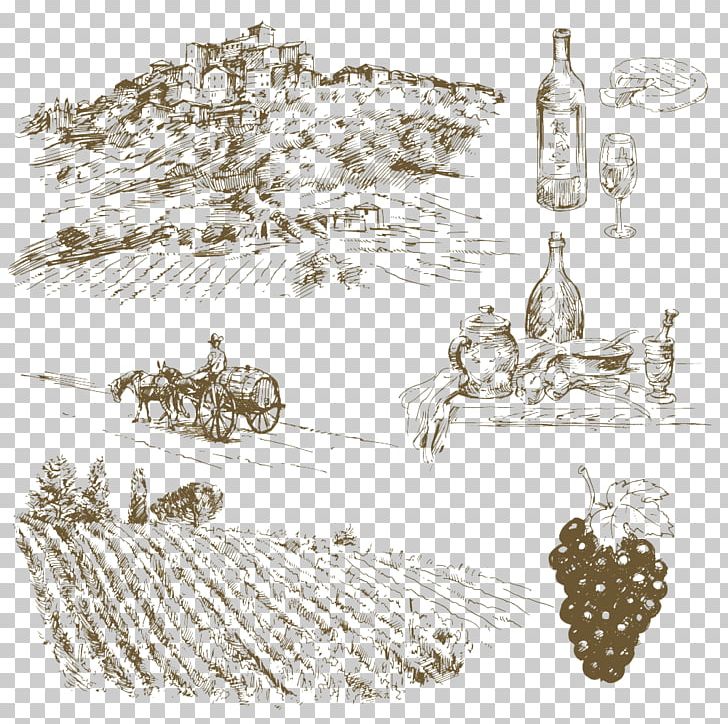 Wine Common Grape Vine Italian Cuisine Drawing PNG, Clipart, Common Grape Vine, Drawing, Field, Fields, Football Field Free PNG Download