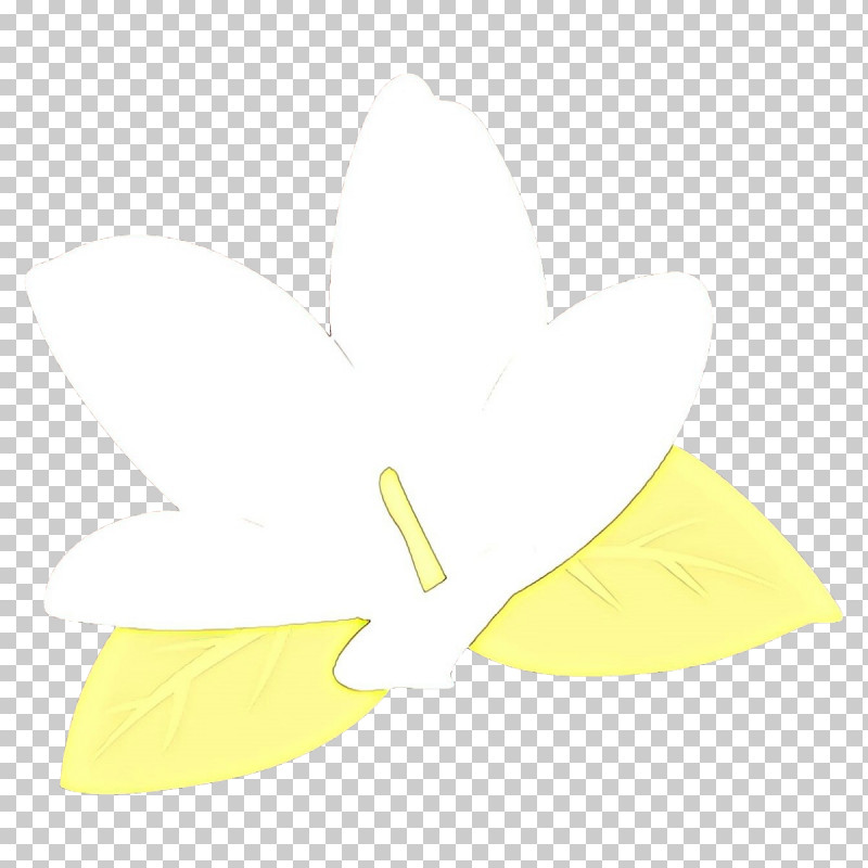 White Yellow Leaf Line Plant PNG, Clipart, Leaf, Line, Plant, White, Yellow Free PNG Download