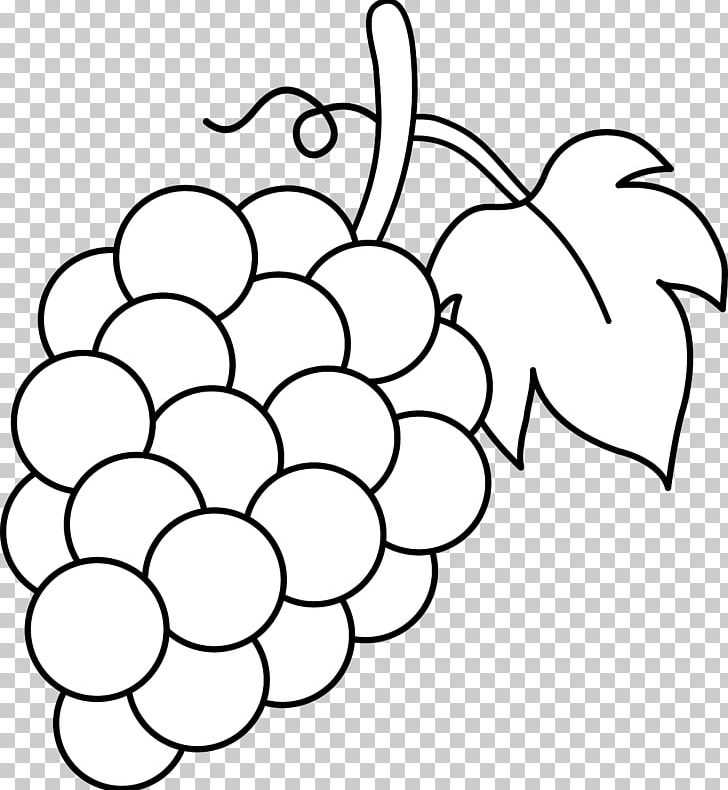 Common Grape Vine Coloring Book Grape Leaves Eggplant PNG, Clipart, Black And White, Branch, Child, Circle, Color Free PNG Download