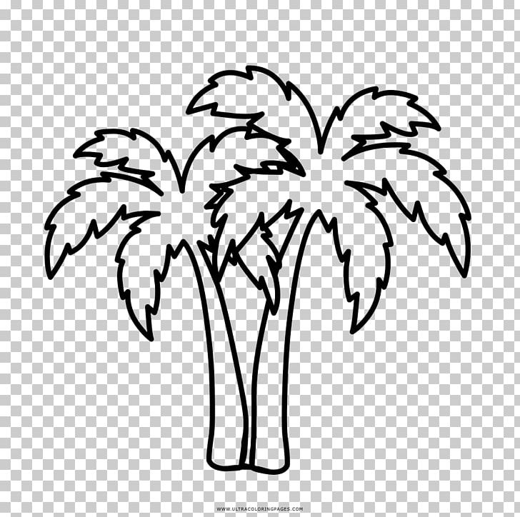 Drawing Coloring Book Arecaceae Line Art Painting PNG, Clipart, Arecaceae, Art, Artwork, Black And White, Branch Free PNG Download
