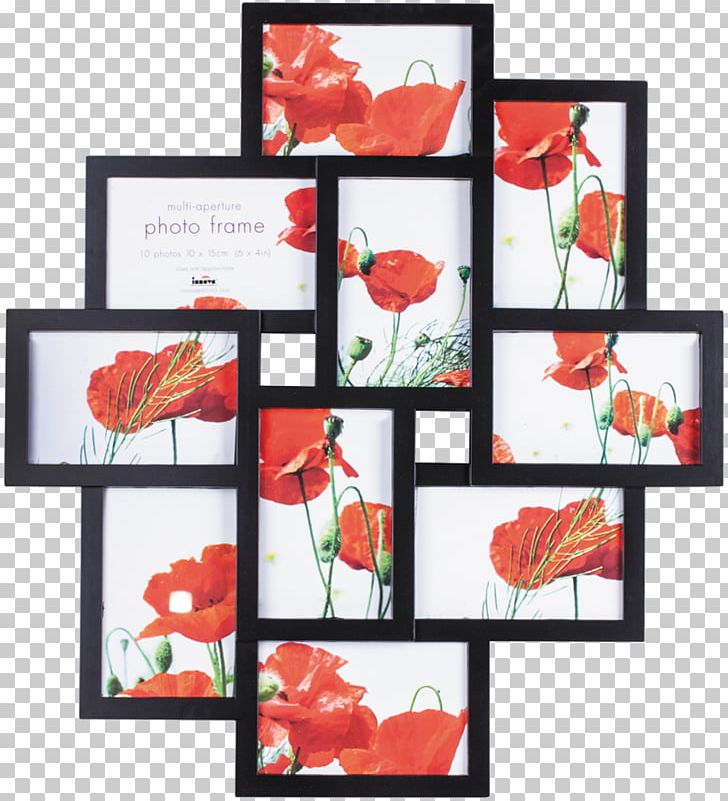 Frames Photography Plastic PNG, Clipart, Art, Collage, Color, Coquelicot, Film Frame Free PNG Download