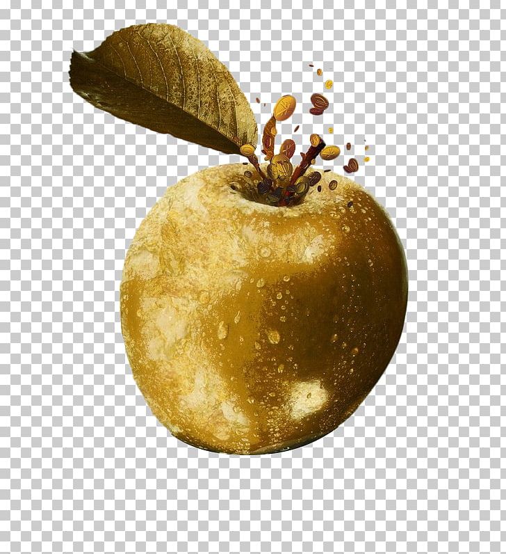 Hesperides Golden Apple Fruit PNG, Clipart, Apple, Apple Of Discord, Auglis, Encapsulated Postscript, Euclidean Vector Free PNG Download