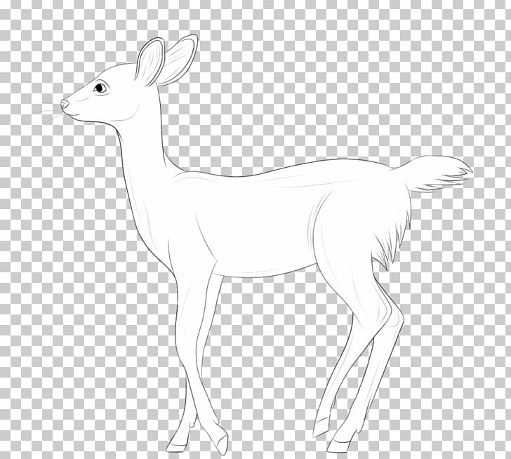 Musk Deers Antelope Hare Line Art PNG, Clipart, Animal, Animal Figure, Animals, Antelope, Antler Free PNG Download