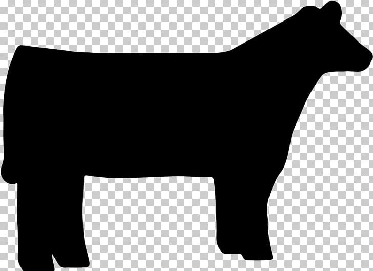 Shorthorn Hereford Cattle Angus Cattle Beef Cattle PNG, Clipart, Animals, Animal Show, Bear, Beef Cattle, Black Free PNG Download