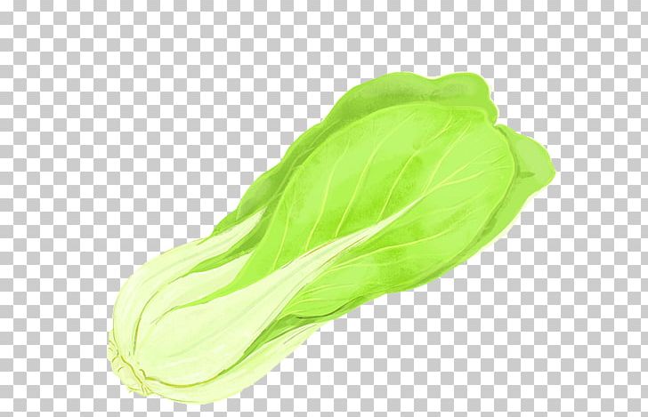 Vegetable Chinese Cabbage Napa Cabbage Kale PNG, Clipart, Brassica Oleracea, Cabbage, Cabbage Leaves, Cabbage Roses, Cartoon Cabbage Free PNG Download