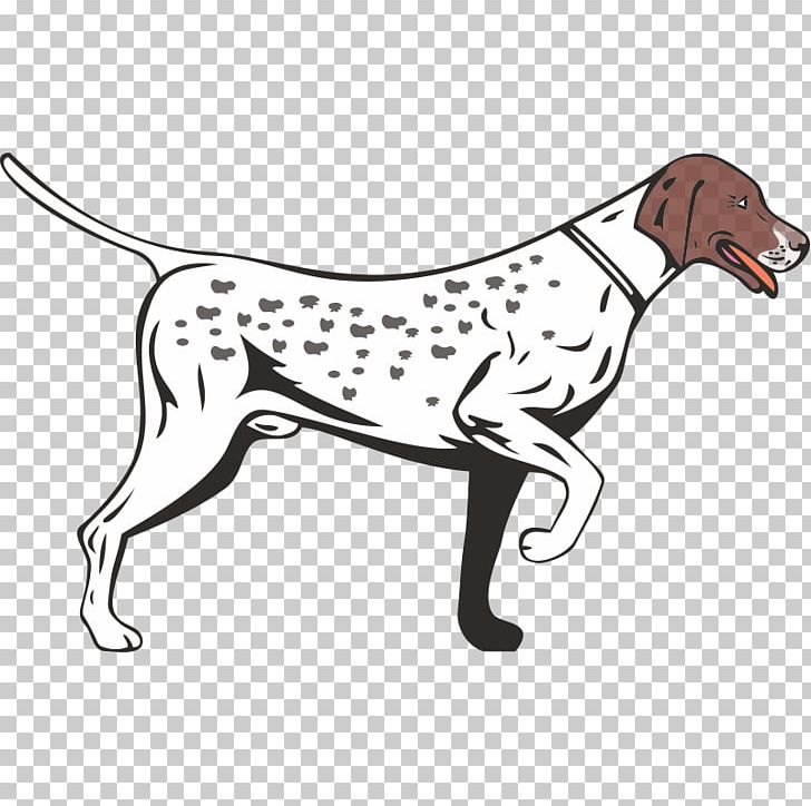 German Shorthaired Pointer German Longhaired Pointer Vizsla German Wirehaired Pointer PNG, Clipart, Carnivoran, Coloring Pages, Dalmatian, Dog, Dog Breed Free PNG Download