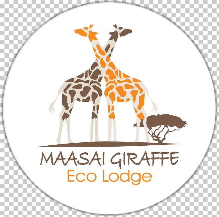 Giraffe Deer Aerials Font PNG, Clipart, Aerials, Animal, Animals, Deer, Eco Free PNG Download