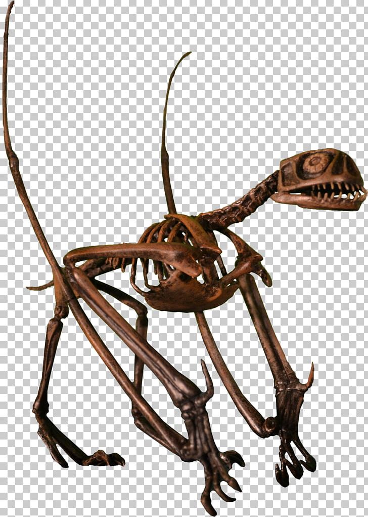 Jeholopterus Tiaojishan Formation Pterodactyls Late Jurassic Pteranodon PNG, Clipart, Anurognathidae, Azhdarchidae, Bit, Cretaceous, Dinosaur Free PNG Download