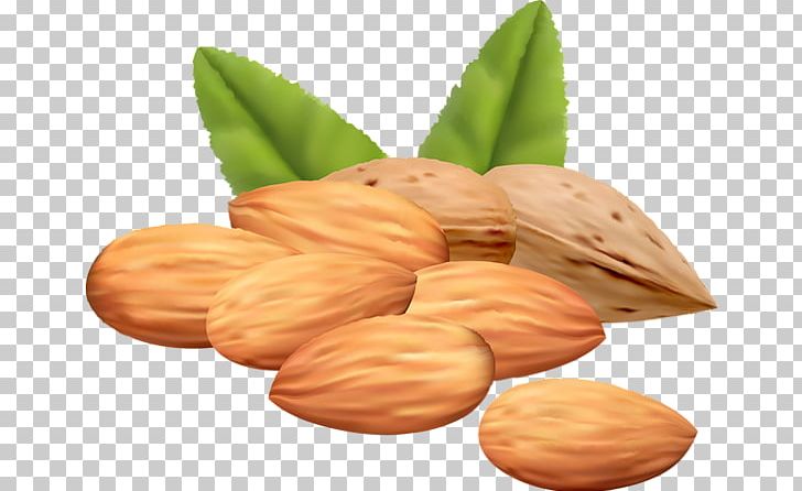 Mixed Nuts Almond PNG, Clipart, Acorn, Almond, Commodity, Food, Hazelnut Free PNG Download