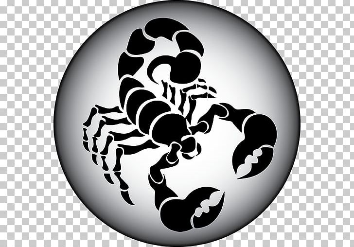 Scorpion PNG, Clipart, Arachnid, Art, Arthropod, Black And White, Cut Free PNG Download