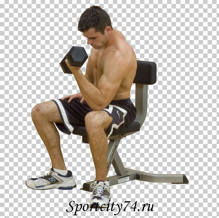 Bench Triceps Brachii Muscle Exercise Biceps Curl Fitness Centre PNG, Clipart, Abdomen, Arm, Bench, Biceps Curl, Body Free PNG Download