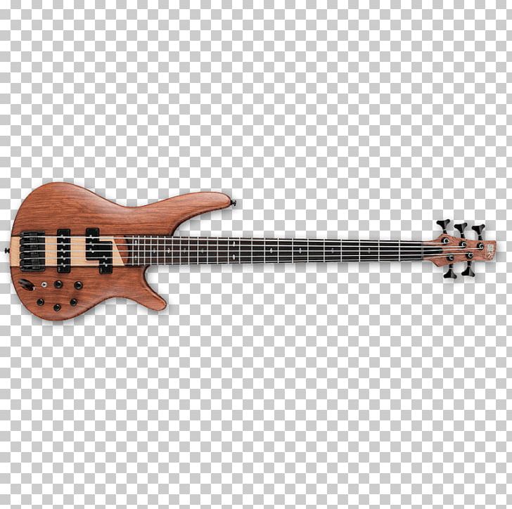 Fender Jazz Bass V Fender Precision Bass Ibanez Bass Guitar Double Bass PNG, Clipart, Acoustic Electric Guitar, Acoustic Guitar, Bass, Bassist, Electric Guitar Free PNG Download