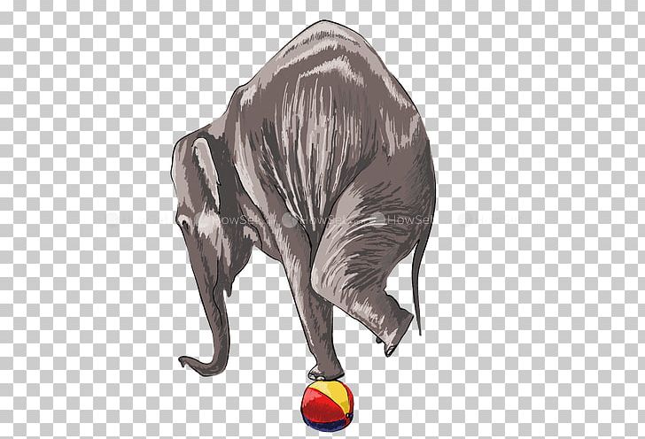 Indian Elephant African Elephant Elephantidae Dacha Dom Bracket PNG, Clipart, African Elephant, Bracket, Carnivora, Carnivoran, Dacha Free PNG Download