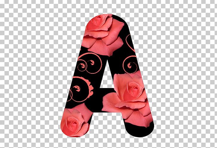 Pink M Shoe Rose Font PNG, Clipart, Caminhao, Petal, Pink, Pink M, Rose Free PNG Download