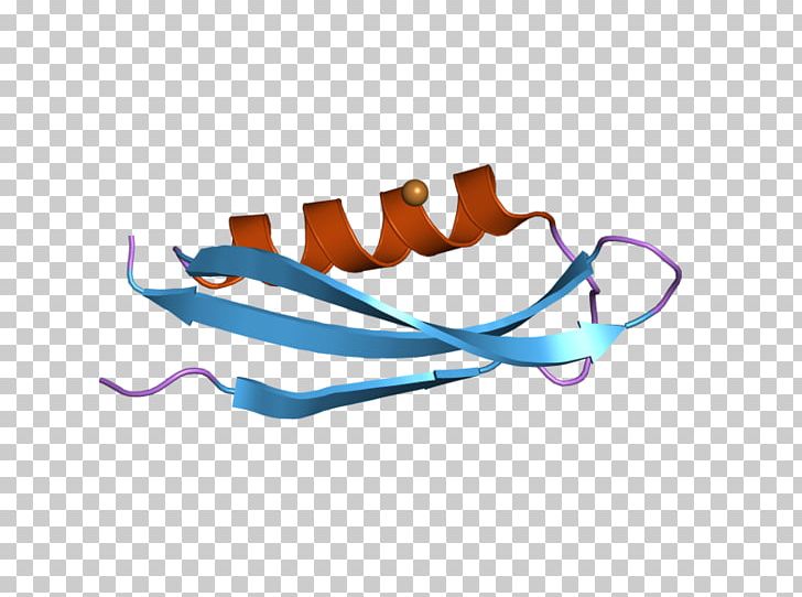 Amyloid Precursor Protein Integral Membrane Protein Synapse PNG, Clipart, Alzheimer, Amyloid, Amyloid Precursor Protein, Bound, Cell Membrane Free PNG Download