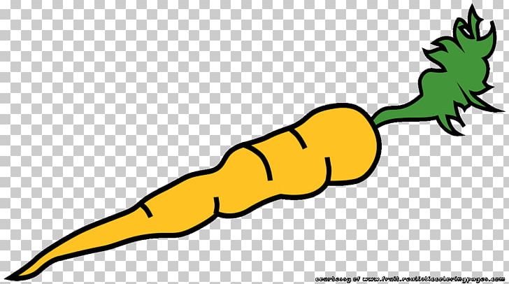 Carrot Fruit Open PNG, Clipart, Area, Artwork, Beak, Carrot, Child Free PNG Download