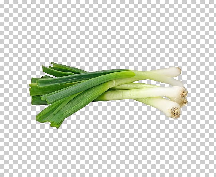 Onion Ghormeh Sabzi Garlic Scallion Leek PNG, Clipart, Allium, Eggplant, Fenugreek, Food, Fruit Free PNG Download