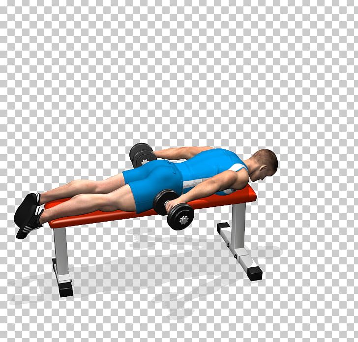 Shoulder Bench Physical Fitness Barbell Dumbbell PNG, Clipart, Abdomen, Angle, Arm, Balance, Barbell Free PNG Download
