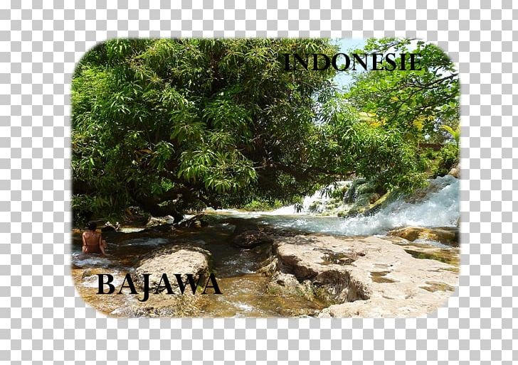 Water Resources Nature Reserve State Park Natural Resource PNG, Clipart, Creek, Natural Resource, Nature, Nature Reserve, Park Free PNG Download
