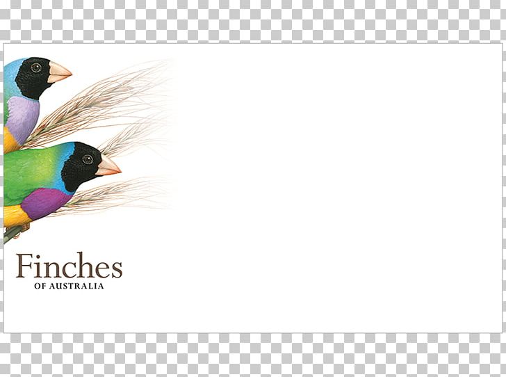 Advertising Beak Stock Photography Graphics PNG, Clipart, Advertising, Animals, Beak, Bird, Feather Free PNG Download