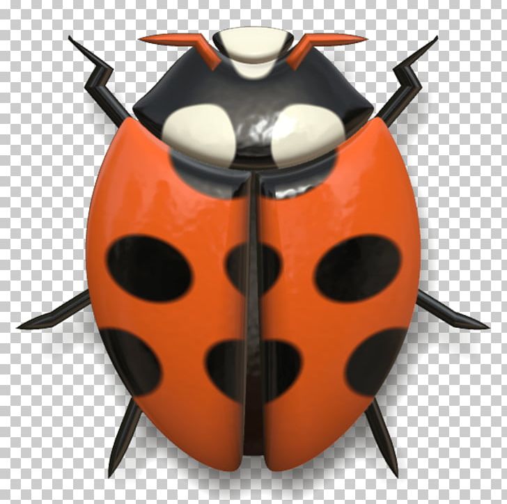 Ladybird Beetle Animal Photography PNG, Clipart, Animal, Animals, Banco De Imagens, Beetle, Insect Free PNG Download