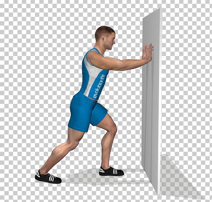Calf Raises Physical Fitness Stretching Exercise PNG, Clipart,  Free PNG Download