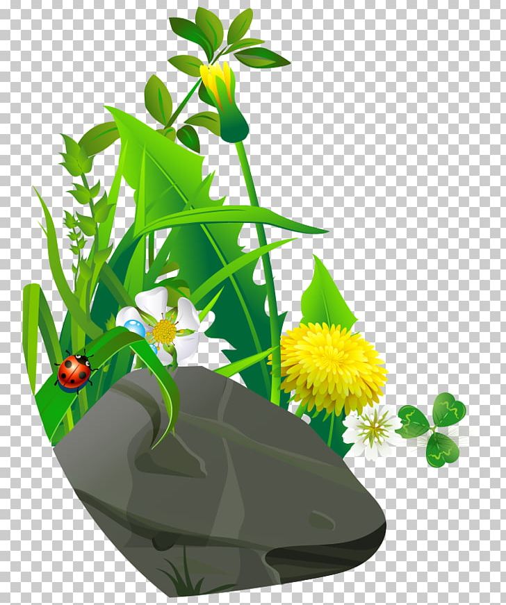 Cartoon Ladybird Drawing PNG, Clipart, Art, Bal, Flower, Flowers, Grass Free PNG Download