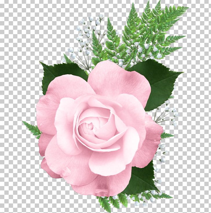 Rose Of Sharon PNG, Clipart, Color, Cut Flowers, Desktop Wallpaper, Floral Design, Floribunda Free PNG Download