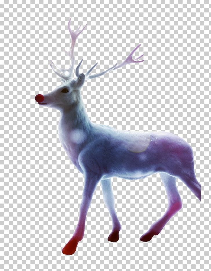 Santa Clauss Reindeer Christmas Gift PNG, Clipart, Animal, Animals, Antler, Beautiful, Christmas Free PNG Download