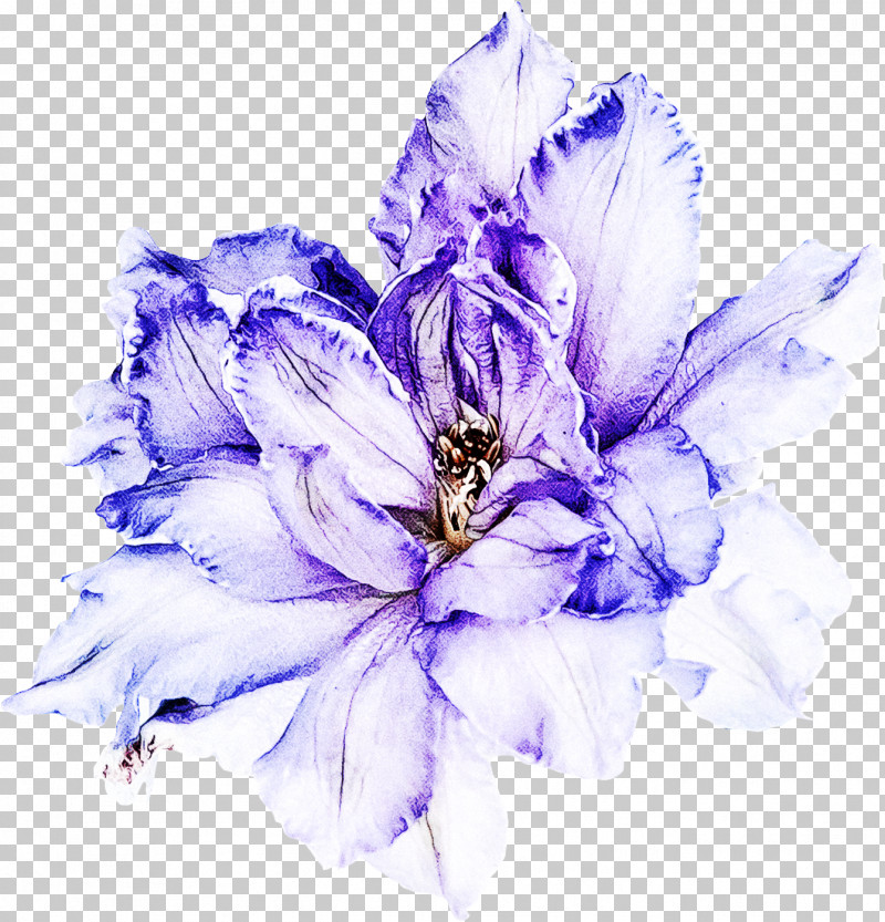 Lavender PNG, Clipart, Cut Flowers, Delphinium, Feather, Flower, Herbaceous Plant Free PNG Download