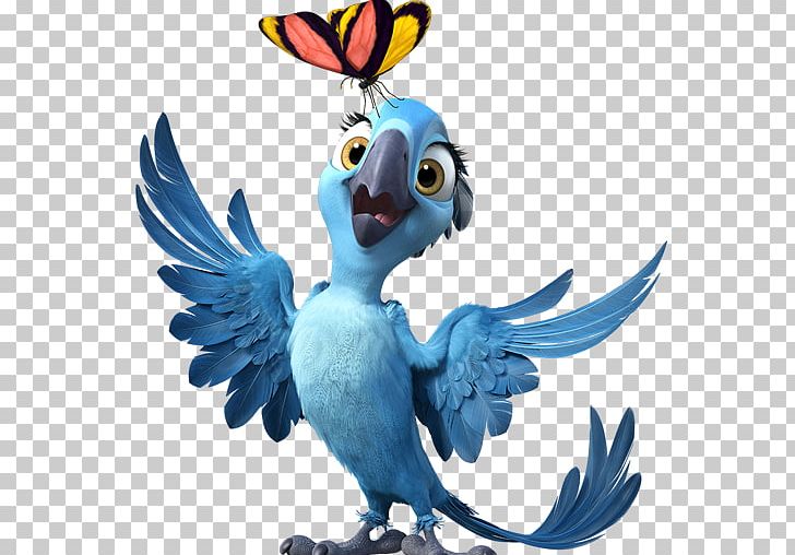 Macaw Parrot Bird Beak Fauna PNG, Clipart, Beak, Bia, Bird, Blu, Character Free PNG Download