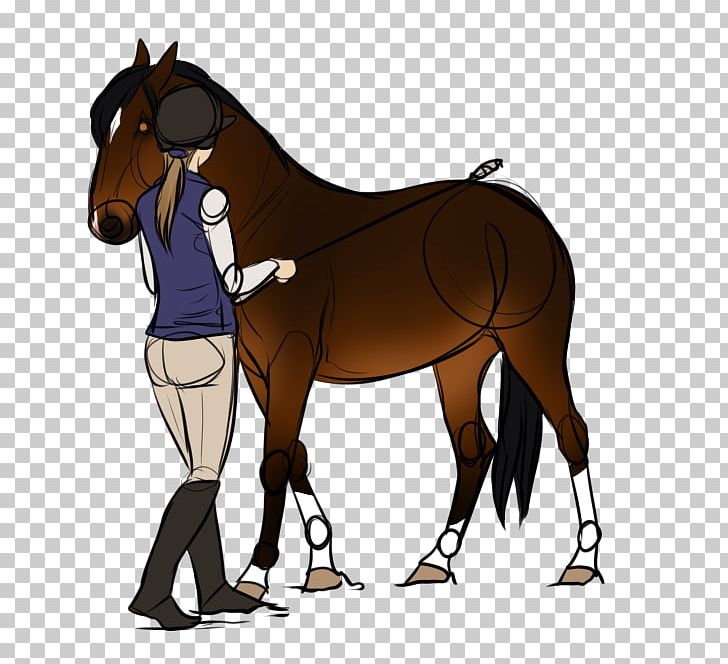 Mustang Foal Pony Stallion Colt PNG, Clipart, Colt, Deviantart, Digital Art, English Riding, Fictional Character Free PNG Download