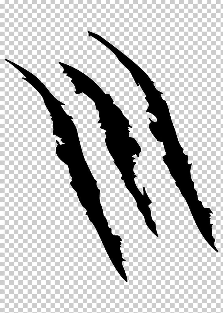 Tiger Claw PNG, Clipart, Animals, Beak, Bird, Black And White, Claw Free PNG Download