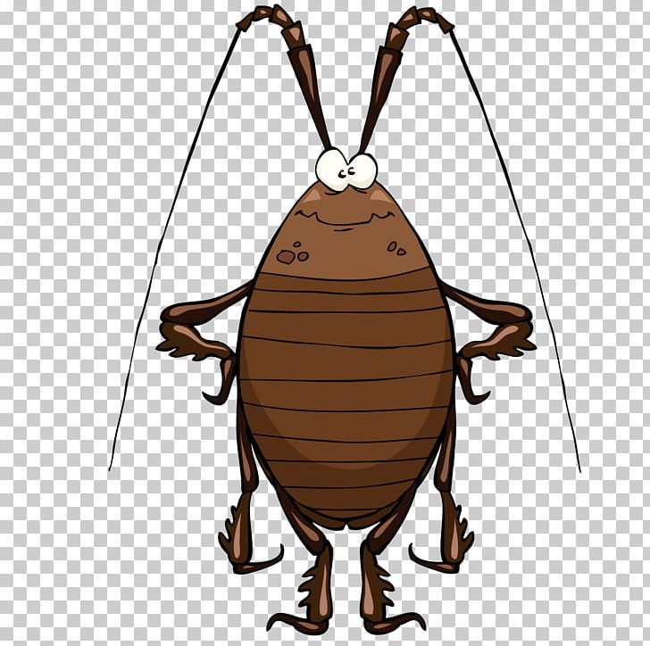 Cockroach Cartoon PNG, Clipart, Animals, Cartoon, Cartoon Arms, Cartoon Character, Cartoon Eyes Free PNG Download