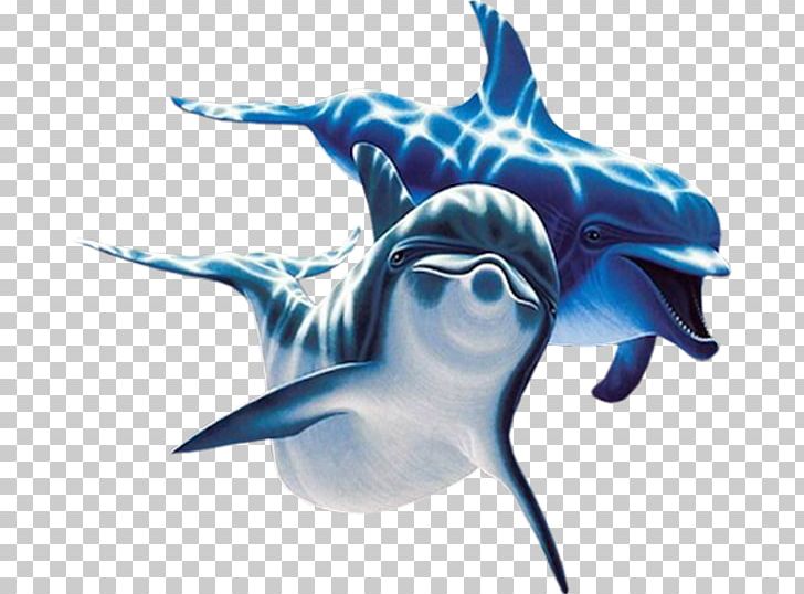 Dolphin Computer Icons PNG, Clipart, Animals, Cartilaginous Fish, Computer Icons, Dolphin, Electric Blue Free PNG Download