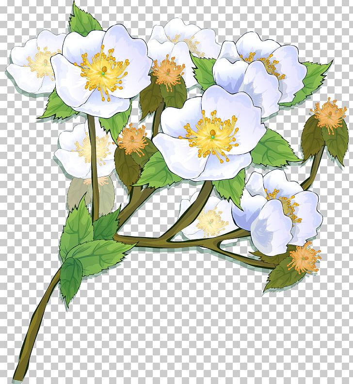 Frames Flower Photography PNG, Clipart, Bloom, Blossom, Bordiura, Branch, Can Stock Photo Free PNG Download