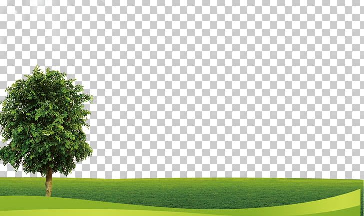 Meadow PNG, Clipart, Angle, Decorative Patterns, Download, Grass, Green Free PNG Download