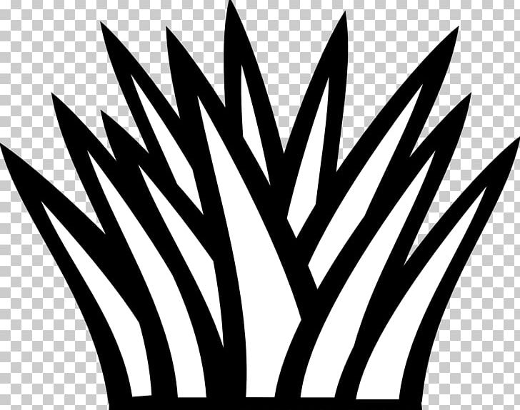 Shrub PNG, Clipart, Black, Black And White, Download, Drawing, Grass Free PNG Download